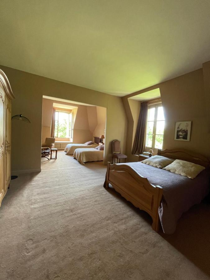 Chateau De Praslins Nogent-sur-Vernisson Luaran gambar