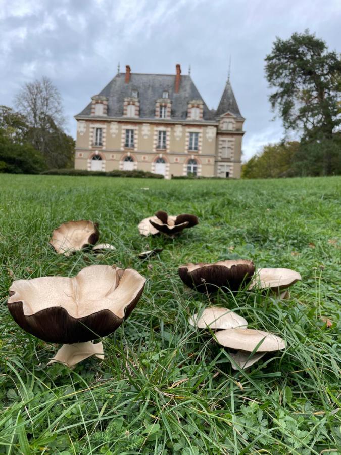 Chateau De Praslins Nogent-sur-Vernisson Luaran gambar